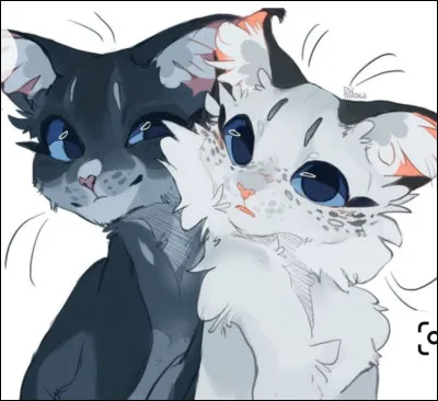 Étoile Bleue est son nom de chef, mais comment s'appelait-elle lorsqu'elle était un chaton ?