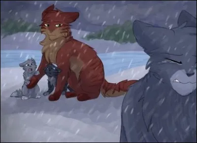 Lorsqu'elle attend des chatons, elle fait croire à tout le monde que leur père est...