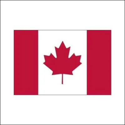 De quel pays est ce drapeau ?