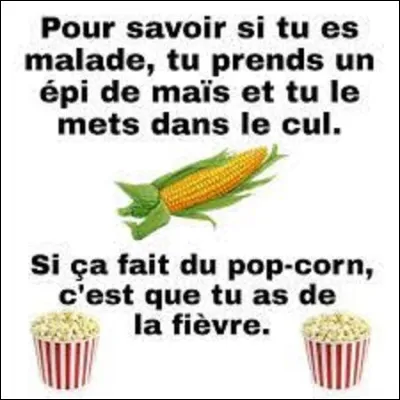 Quel pays est le premier producteur de maïs au monde ?