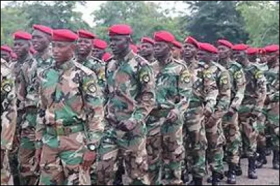 En quelle année Catherine Samba-Panza est-elle devenue la chef de l'État de transition de la République centrafricaine ?