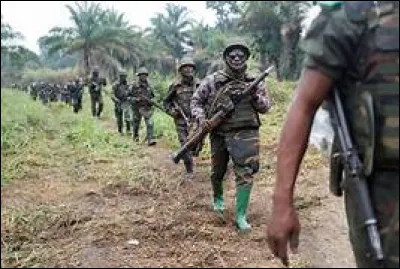 Durant combien d'années la première démocratie parlementaire congolaise a-t-elle tenu ?