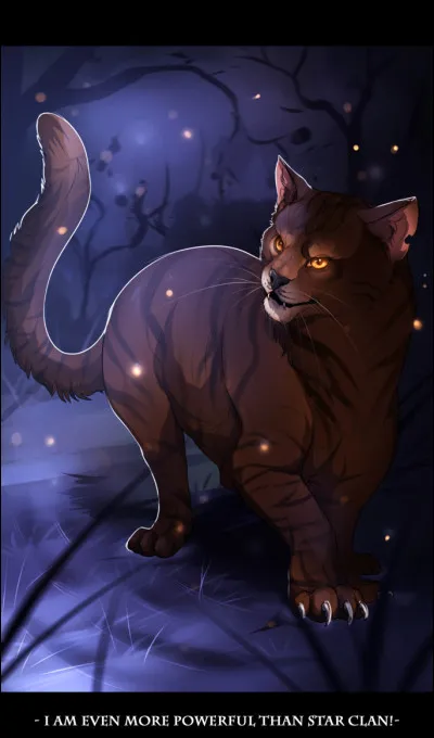 Combien a-t-il de surs ?