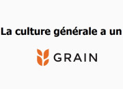 Quiz La culture gnrale a un ''grain''