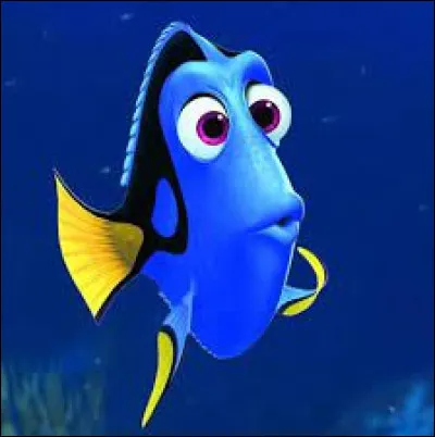 Comment s'appelle ce poisson que l'on voit dans le film "Le Monde de Nemo" ?
