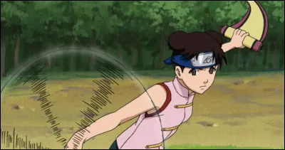 Qui sont les équipiers de Tenten ?