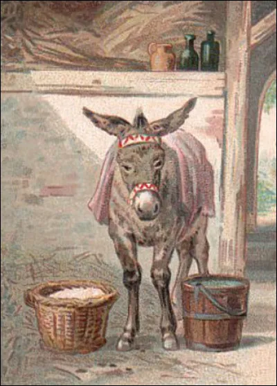 L'âne de Buridan, ayant faim et soif, hésite entre une botte de foin et un seau d'eau. Que lui arrive-t-il ?