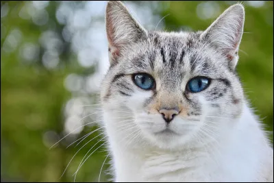 Qui est sa nouvelle compagne ?