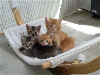 Qui sont ses frères et surs ?