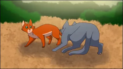 Qui est le chat qu'il rencontre ? (qui devient son meilleur ami)