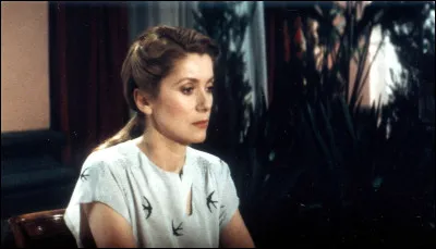 Quel acteur partageait l'affiche avec Catherine Deneuve dans le film "Hotel des Amériques" ?