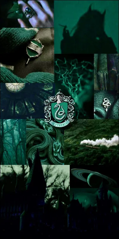 Finalement tu tendors

Et cest la fin de ce quiz.
Je sais, il était plutôt rapide : ).
Et jai une dernière question.
Penses-tu faire partie de Serpentard ?