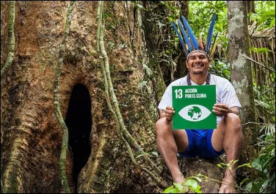 Quelle est la proportion de la population autochtone active n'ayant jamais reçu d'éducation formelle ?