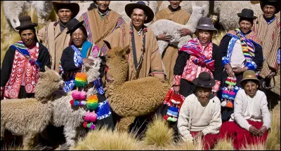 Quel est le nombre de pays où ils se répartissent ?