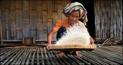 Beaucoup sont des agriculteurs, des chasseurs-cueilleurs ou des pasteurs. Près de 70 millions de femmes et d'hommes autochtones dépendent ... pour leur subsistance. (Complétez !)