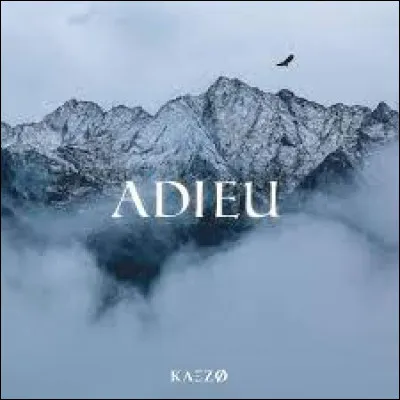 Quel groupe de rap est à l'origine de la chanson "Adieu bientôt" ?