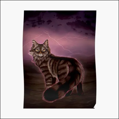 Quel chat n'aime-t-il pas ?