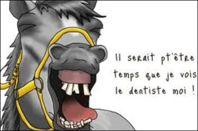 Dans quelle série de bandes dessinées peut-on trouver le titre ''Dent pour dent'', publié en 2012 ?