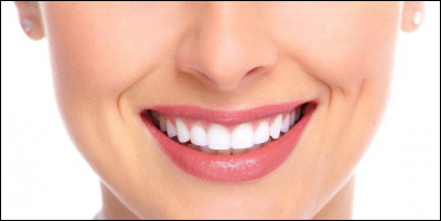 En moyenne, combien de dents un adulte possède-t-il ?