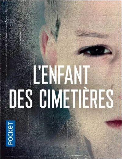 ''L'Enfant des cimetières'' est un roman de Bernard Minier.