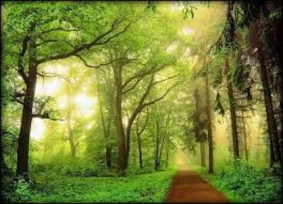 Qui est l'auteur du roman "La Ligne verte" ?