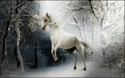 Quel acteur est à l'écran dans le long-métrage intitulé "Blanc comme neige" ?