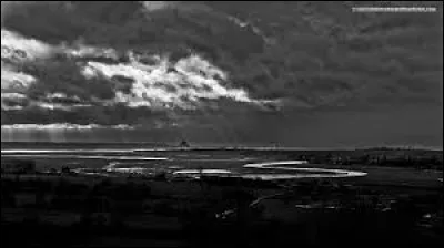 Qui est le réalisateur du film "Le Dahlia noir" ?