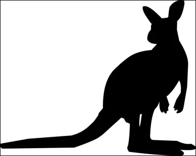 Quel est le nom de cet animal ?