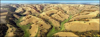 Le Deliblatska pečara, communément surnommé "Sahara Européen", constitue l'une des plus grandes étendues sablonneuses d'Europe. Mais où peut-on la trouver ?