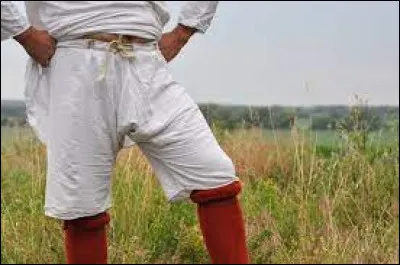 Histoire : Comment s'appelle le pantalon que portaient les Gaulois ?