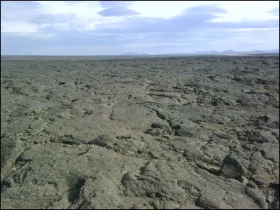 Choisissez l'écriture correcte :