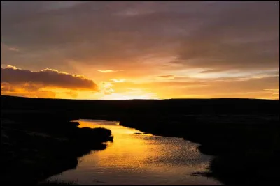 Choisissez l'écriture correcte :