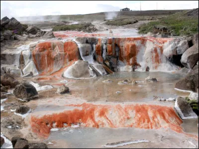 Choisissez l'écriture correcte :