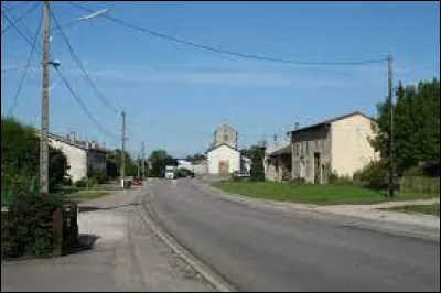 Nous terminons notre balade en Lorraine, à Vomécourt. Village à 4 kilomètres de Rambervillers, il se situe dans le département ...