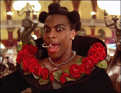 Qui joue le rôle de Ruby Rhod ?