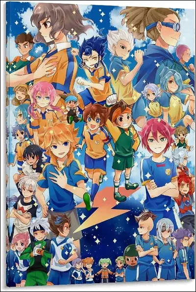 Quelle est la fille que tu aimes le plus dans "Inazuma Eleven" ?