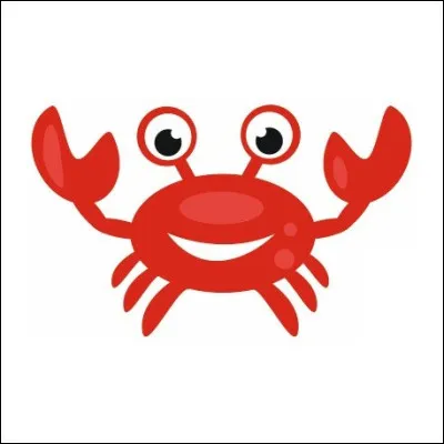 Quel est le nom de cet animal ?