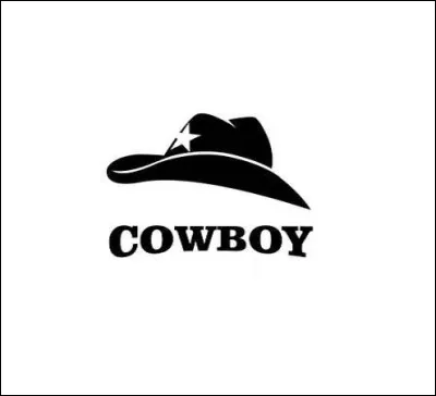 Quel personnage retrouve-t-on dans la BD ''Un cow-boy dans le coton''