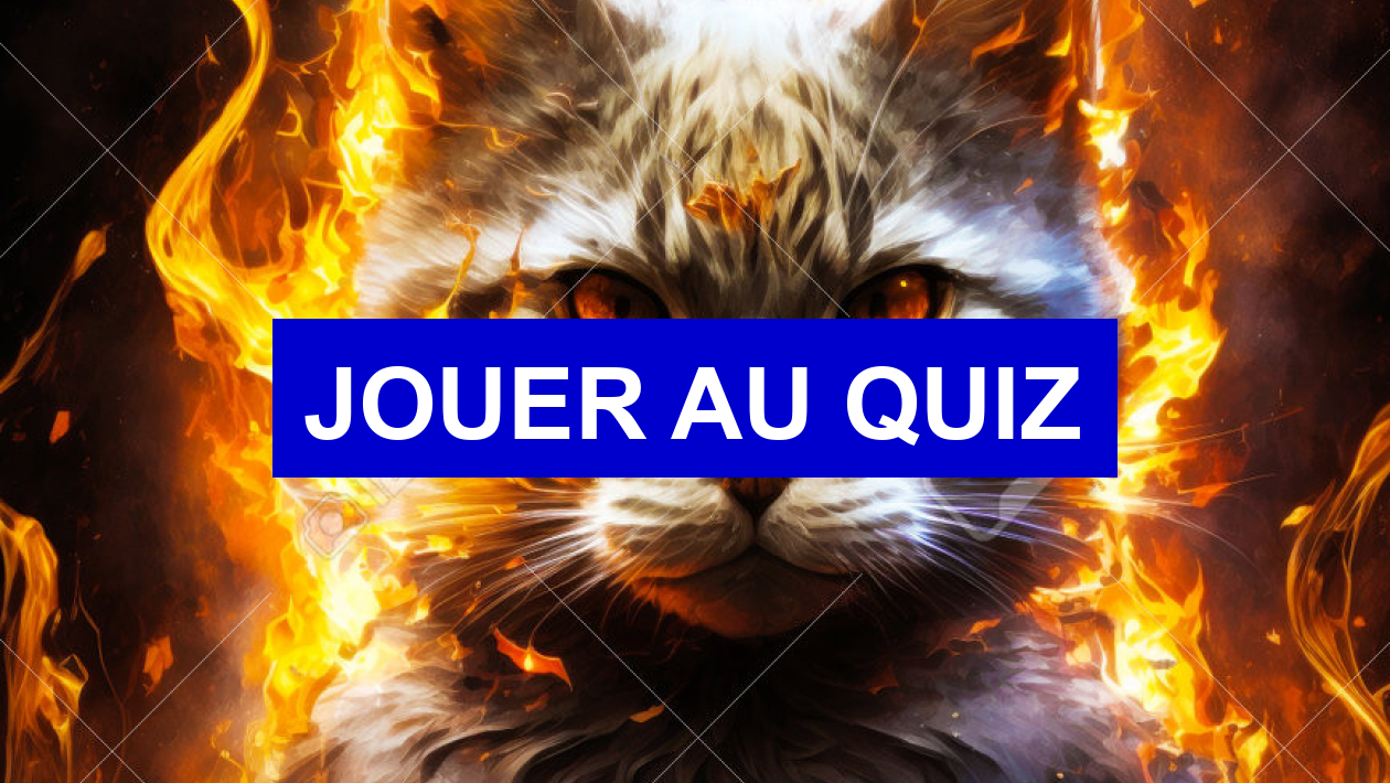 Test de personnalité Quel chat te correspond