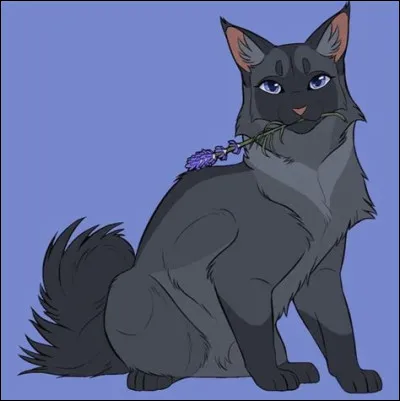 Mon compagnon faisait partie d'un autre clan que le mien. Apr&egrave;s ma mort, une ancienne chatte domestique est devenue sa compagne. Qui suis-je ?