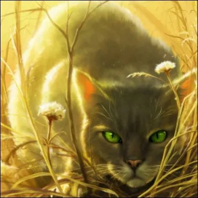 J'ai eu trois petits, l'un est mort avant de devenir apprenti, les deux autres ont v&eacute;cu dans un autre clan que le mien. Qui suis-je ?