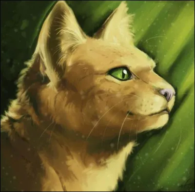 J'&eacute;tais en couple avec un chat du Clan des &Eacute;toiles alors que j'&eacute;tais encore vivante. Je suis...