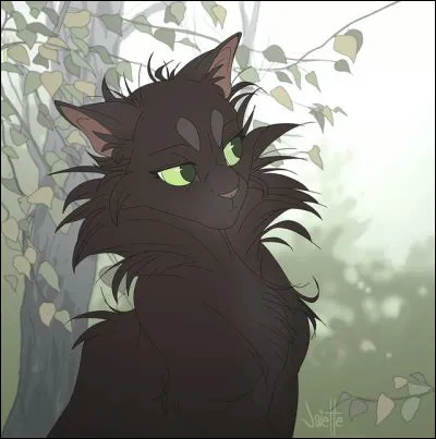 Je me suis entra&icirc;n&eacute;e dans la For&ecirc;t Sombre avant de devenir une espionne, et j'ai d&eacute;couvert que mon p&egrave;re s'y entra&icirc;nait aussi. Je suis...