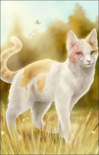 J'ai &eacute;t&eacute; d&eacute;figur&eacute;e en voulant savoir ce qui mena&ccedil;ait mon clan. Qui suis-je ?