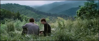 Vers où te diriges-tu ?