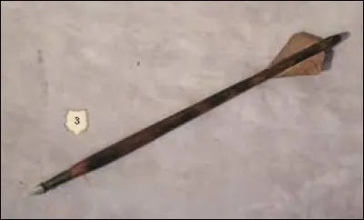 Avec quelle arme tire-t-on un carreau ?