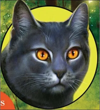 Je suis le frère jumeau de Ciel Bleu, et aussi le personnage principal du cycle 5, qui suis-je ?