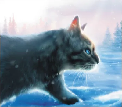 Je suis le premier chef du Clan de la Rivière, je suis aussi juste et gentil ! Qui suis-je ?