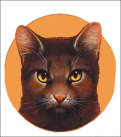 Cycle 5 : Je suis la toute première cheffe du Clan du Vent et aussi la mère de Vol du Papillon, qui suis-je ?