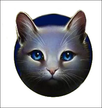 Je suis le premier chef du Clan du Ciel.